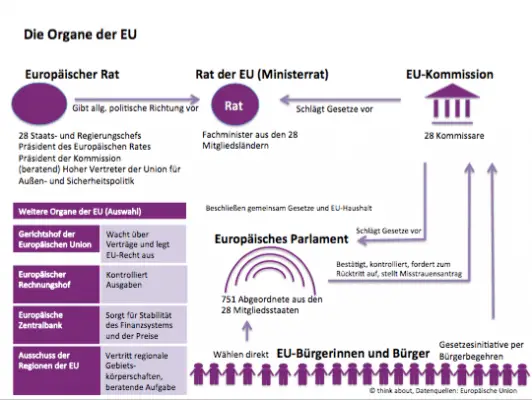 Organe Der Eu Einfach Erklärt organe_der_EU_Infografik_optimiert - Think About